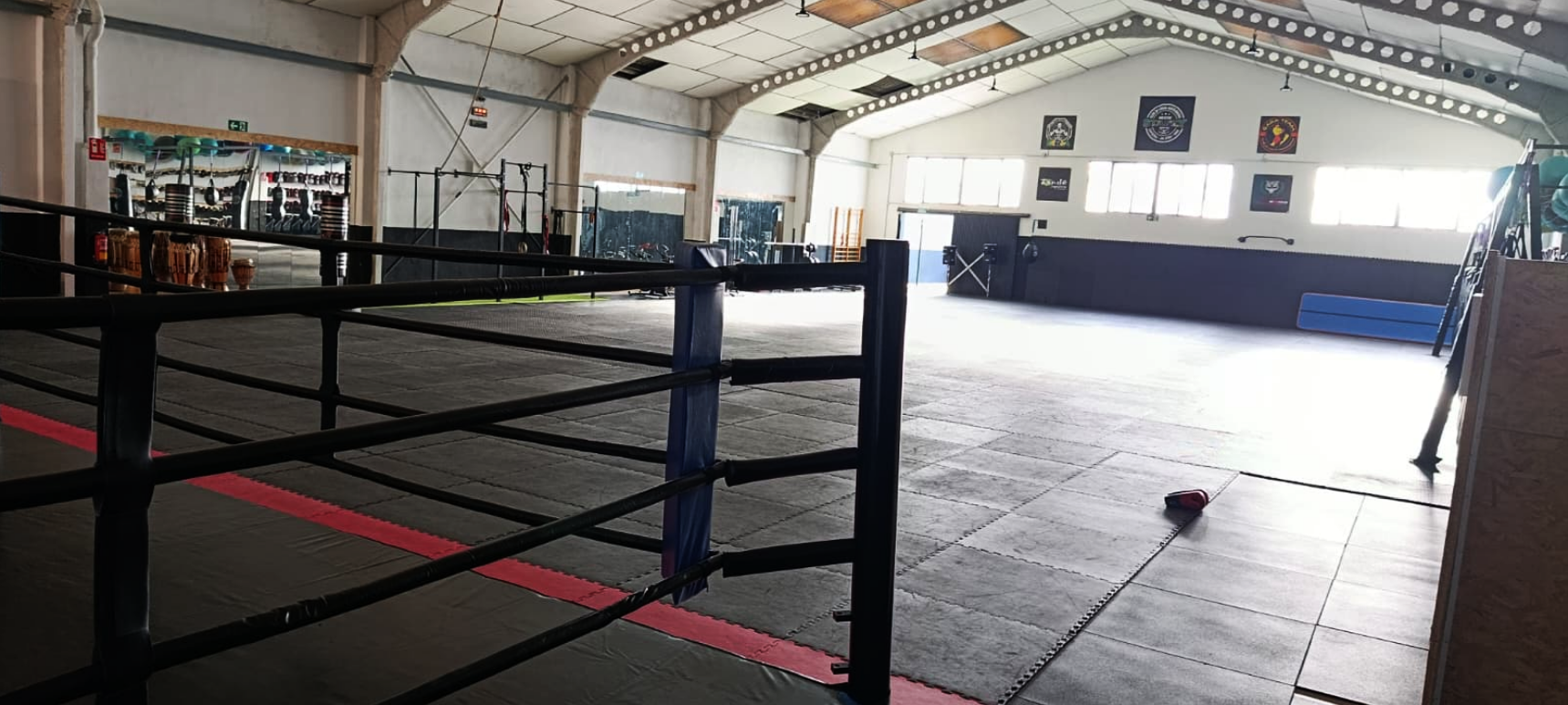 Tatami profesional de más de 500 m² – Club de Lucha Massanassa